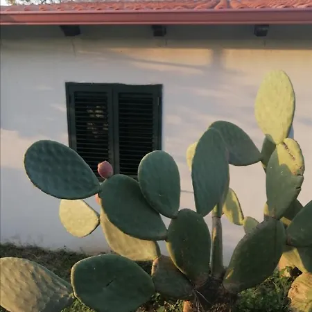 Casa vacanze Dastemi